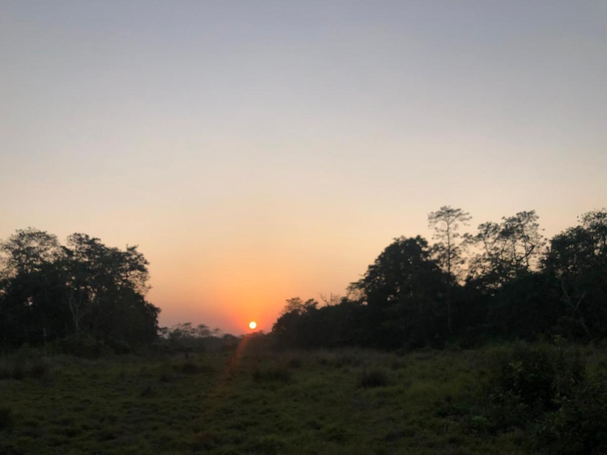 Hotel Happy Land Chitwan Bagian luar foto