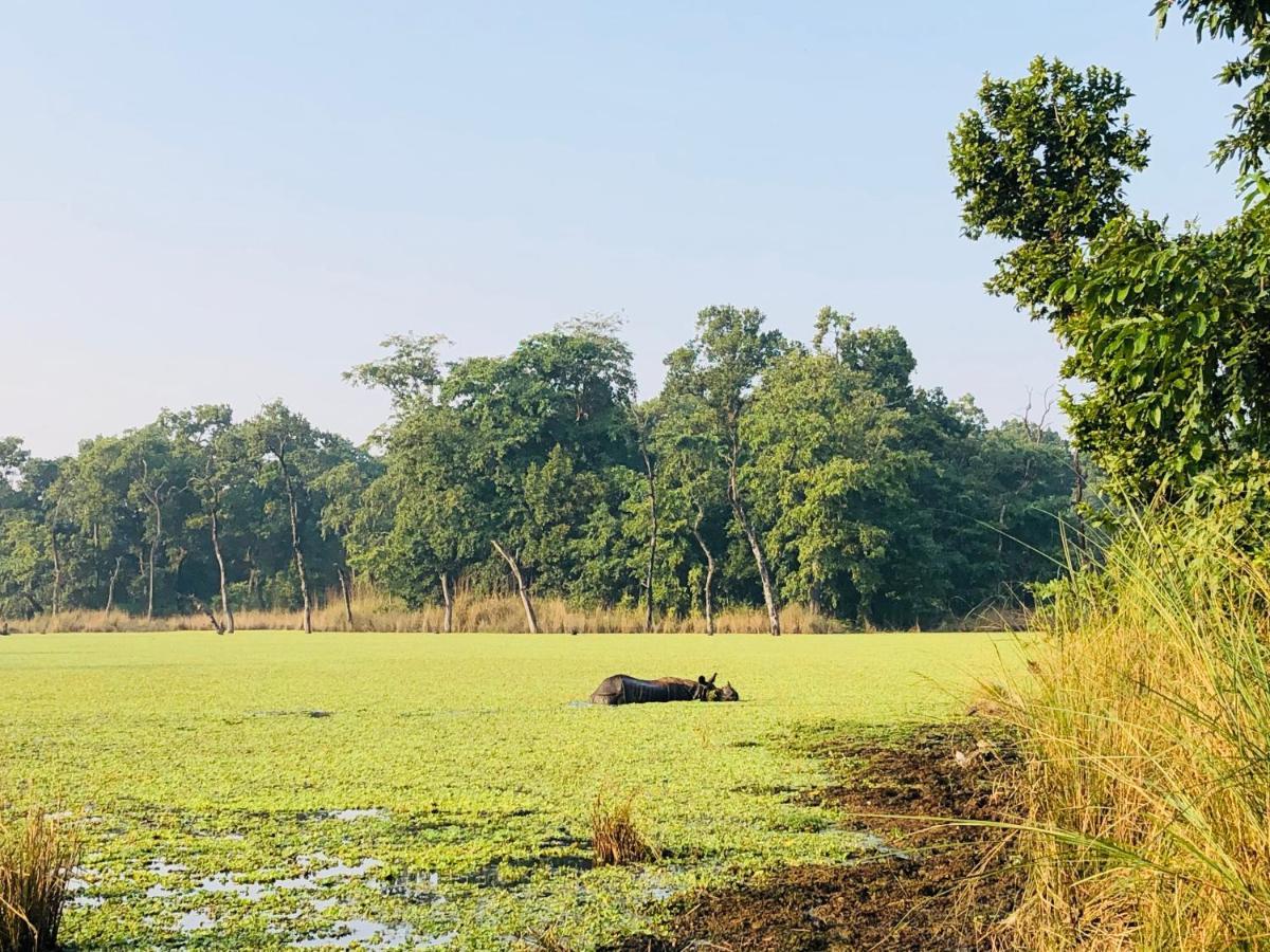Hotel Happy Land Chitwan Bagian luar foto